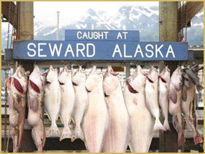 Seward Fishing, Things to do in Seward AK